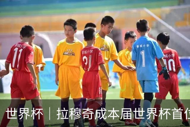 世界杯｜拉穆奇成本届世界杯首位下课主帅 勒纳尔接过突尼斯教鞭